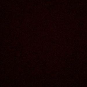 Meet your Posher, Rikk